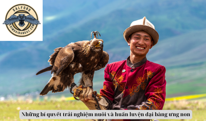 Những bí quyết trải nghiệm nuôi và huấn luyện đại bàng ưng non