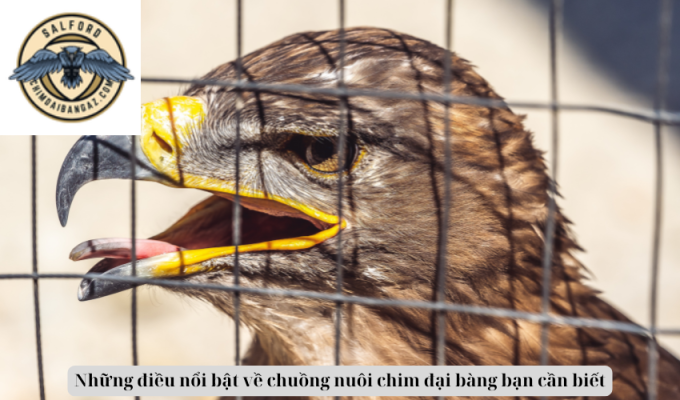 Những điều nổi bật về chuồng nuôi chim đại bàng bạn cần biết